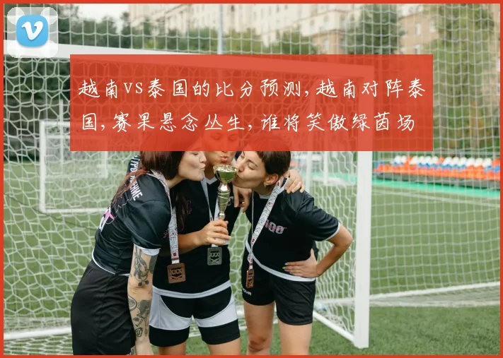 越南vs泰国的比分预测,越南对阵泰国,赛果悬念丛生,谁将笑傲绿茵场
