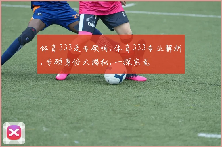 体育333是专硕吗,体育333专业解析,专硕身份大揭秘,一探究竟