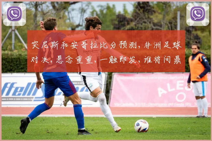 突尼斯和安哥拉比分预测,非洲足球对决,悬念重重,一触即发,谁将问鼎
