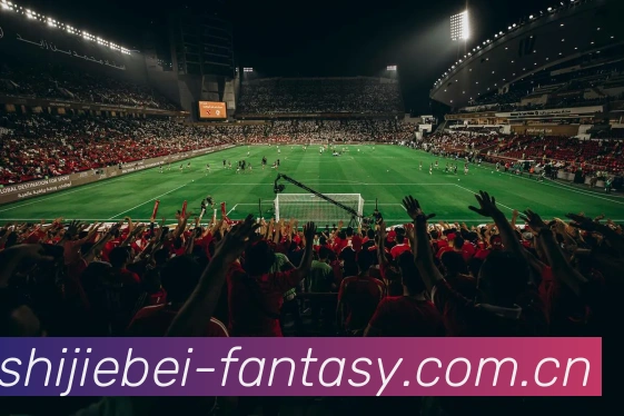 世界杯Fantasy平台生态图