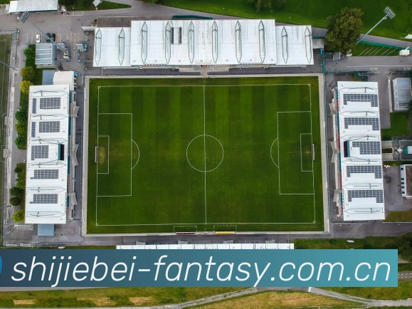 世界杯Fantasy全站App